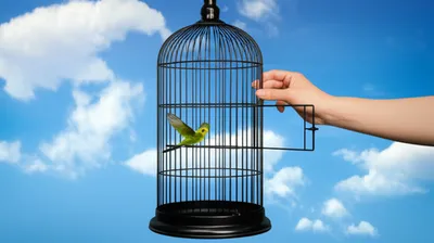 Illustration letting - Image 1