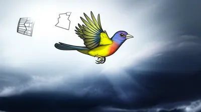 Illustration delivered