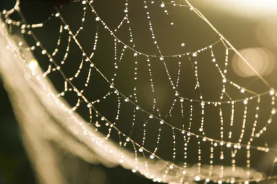 Illustration blinks - Image 1