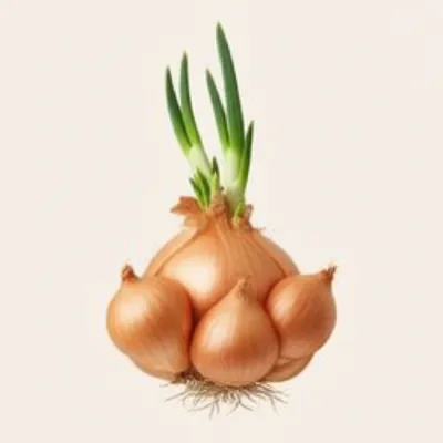 Illustration multiplier - Image 1