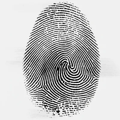 Illustration partial - Image 1