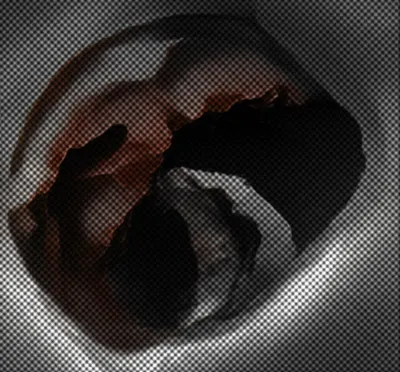 Illustration reamed - Image 1