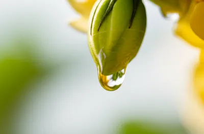 Illustration verging - Image 1