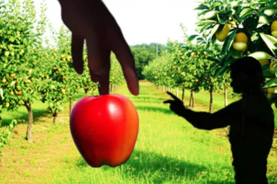 Illustration expedient - Image 1