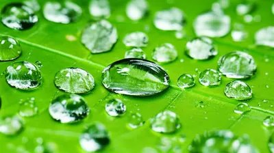 Illustration wetting - Image 1