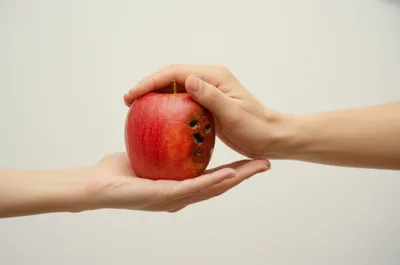 Illustration abuses - Image 1