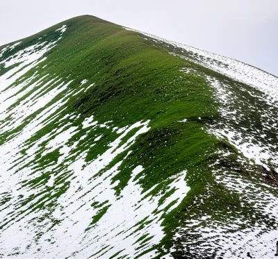 Hình ảnh minh họa topping
