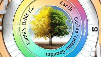 Illustration intercalates