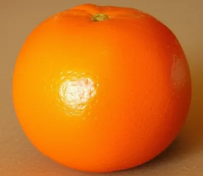 Illustration equator - Image 1