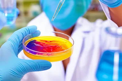 Illustration testing - Image 1