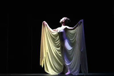 Illustration curtained - Image 1