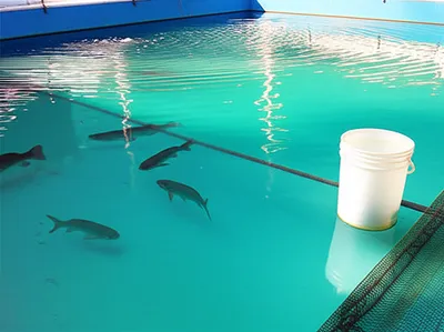 Illustration stew - Image 1