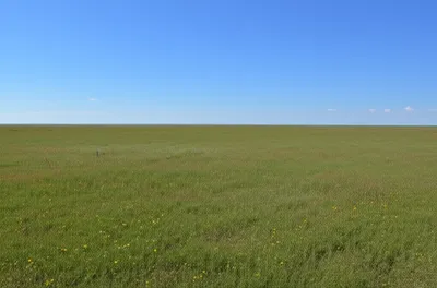 Illustration plainer - Image 1