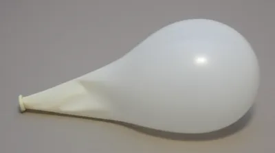 Illustration bellies - Image 1