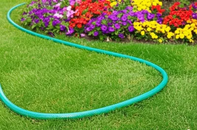 Illustration lengthens