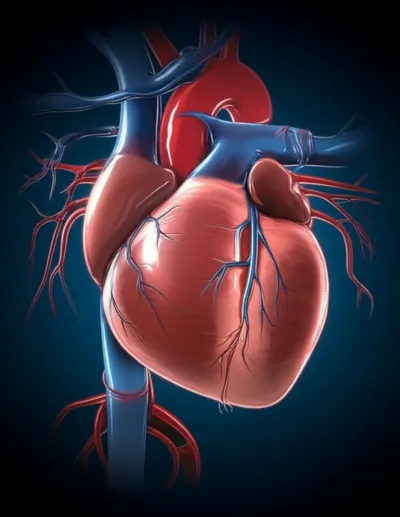 Illustration tone - Image 1