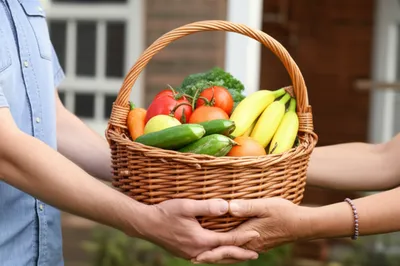 Illustration brought - Image 1