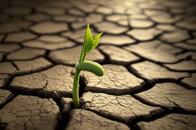 Illustration grinding - Image 1