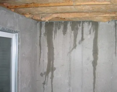 Illustration seepage - Image 2