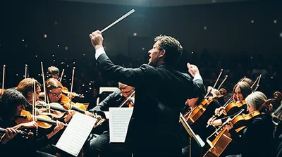 Illustration reed - Image 1