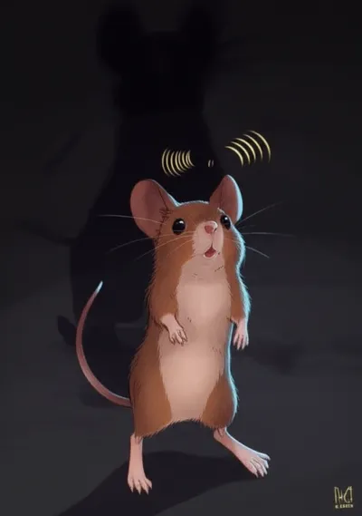 Illustration squeaked