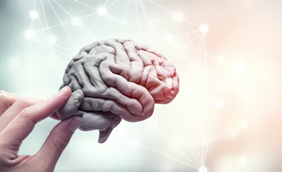 Hình ảnh minh họa conditioning - Ảnh 1