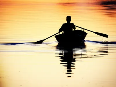 Illustration rowing - Image 1