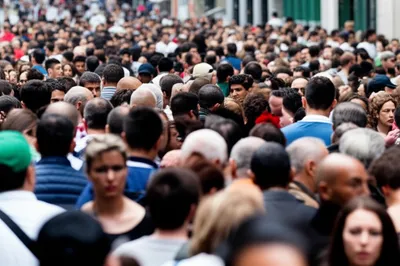 Illustration pressed - Image 1