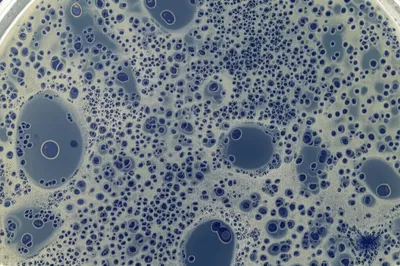 Illustration confluence - Image 1