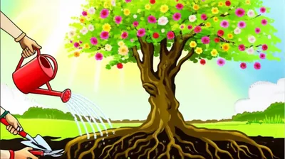 Illustration edification