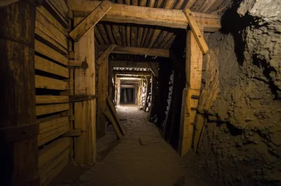 Illustration lacing - Image 1