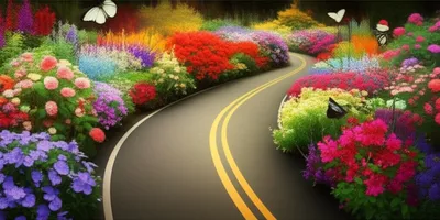 Illustration transitions - Image 1