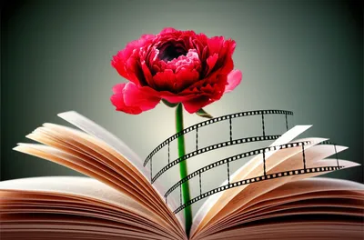 Illustration adaptations - Image 1