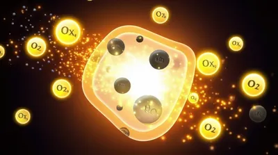 Illustration respirations - Image 1