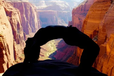 Illustration holler - Image 1