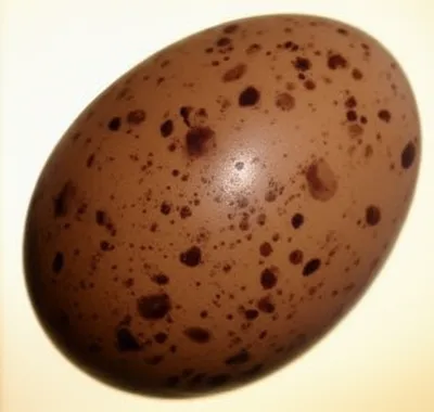 Illustration speckle - Image 1