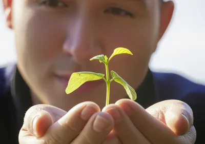 Illustration considered - Image 1