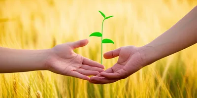 Illustration tick - Image 1