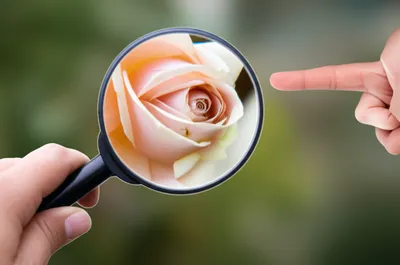 Illustration criticizing