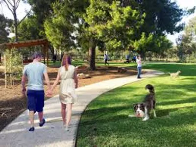 Illustration common - Image 4