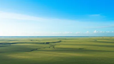 Illustration acer - Image 1