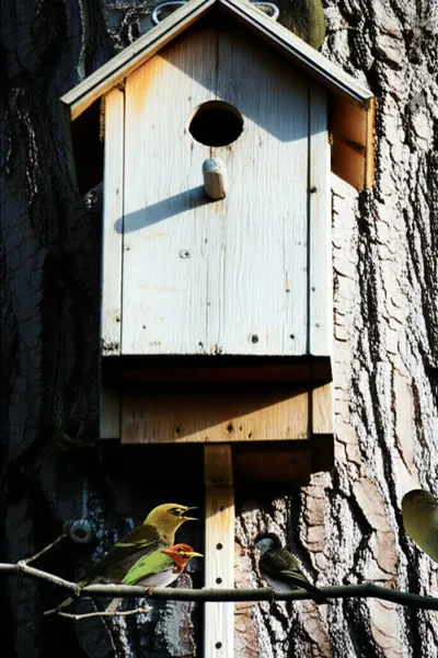 Illustration lodged - Image 1