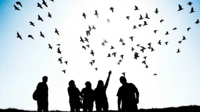 Illustration above - Image 1