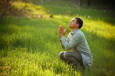 Illustration bid - Image 1