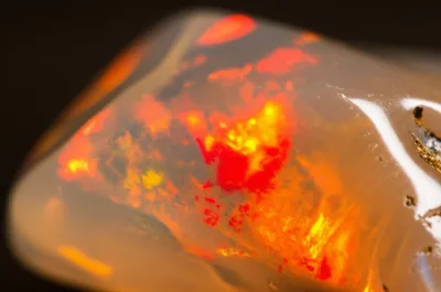 Illustration fire - Image 1