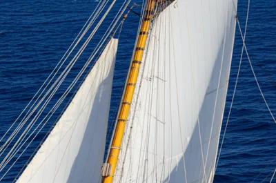 Illustration backstays - Image 1