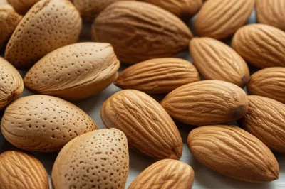 Illustration almond - Image 1