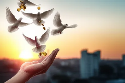 Hình ảnh minh họa releases - Ảnh 1