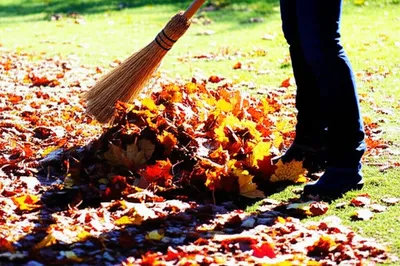 Illustration sweeps - Image 1