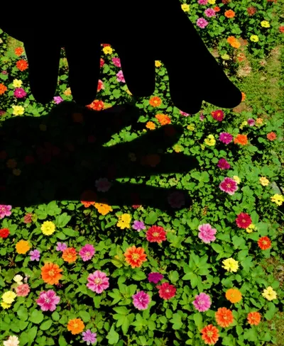 Illustration bites - Image 1